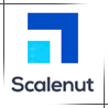 scalenut seo optimization tool.